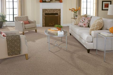 Image depicting the Service Carpet Cleaning